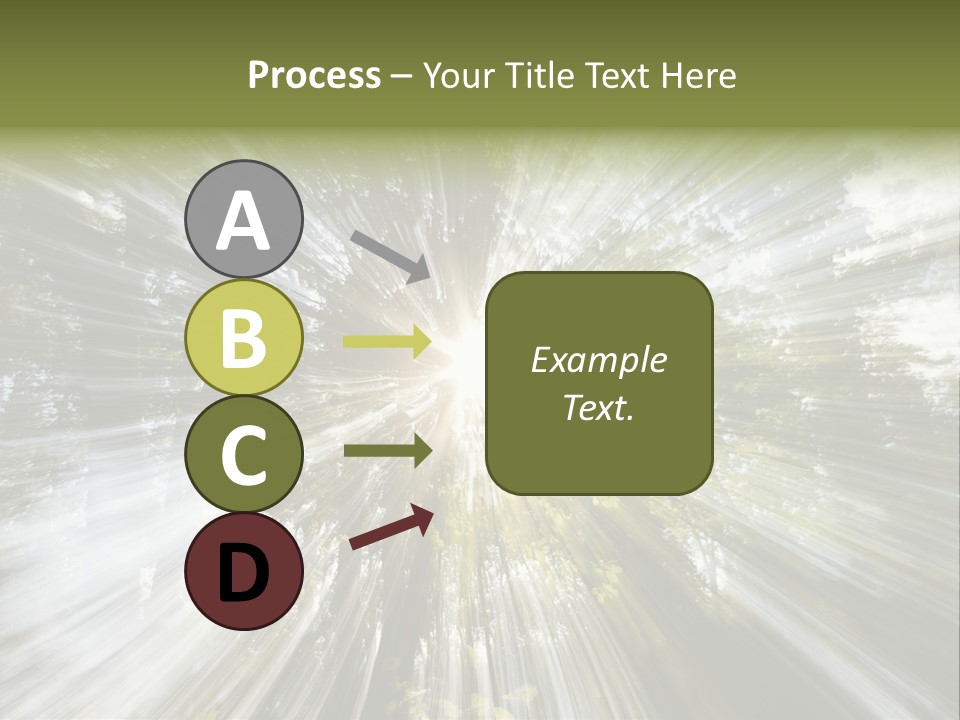 A Sun Burst In The Middle Of A Forest PowerPoint Template