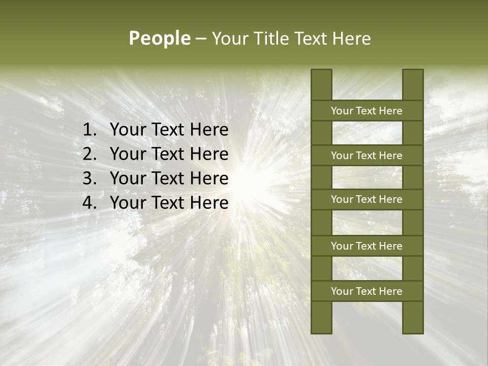 A Sun Burst In The Middle Of A Forest PowerPoint Template
