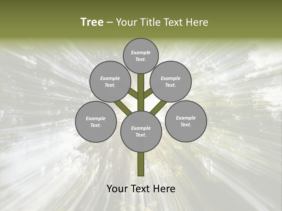 A Sun Burst In The Middle Of A Forest PowerPoint Template