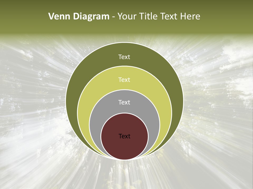 A Sun Burst In The Middle Of A Forest PowerPoint Template