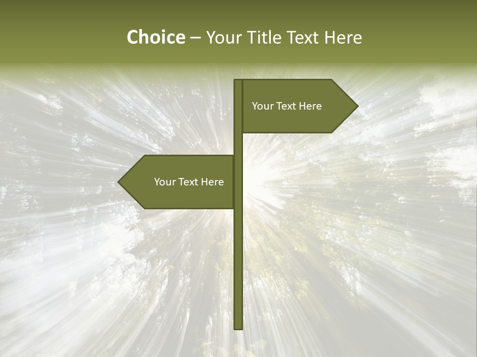 A Sun Burst In The Middle Of A Forest PowerPoint Template