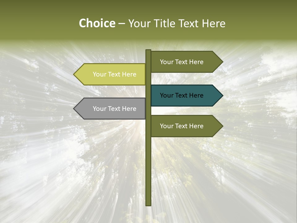 A Sun Burst In The Middle Of A Forest PowerPoint Template