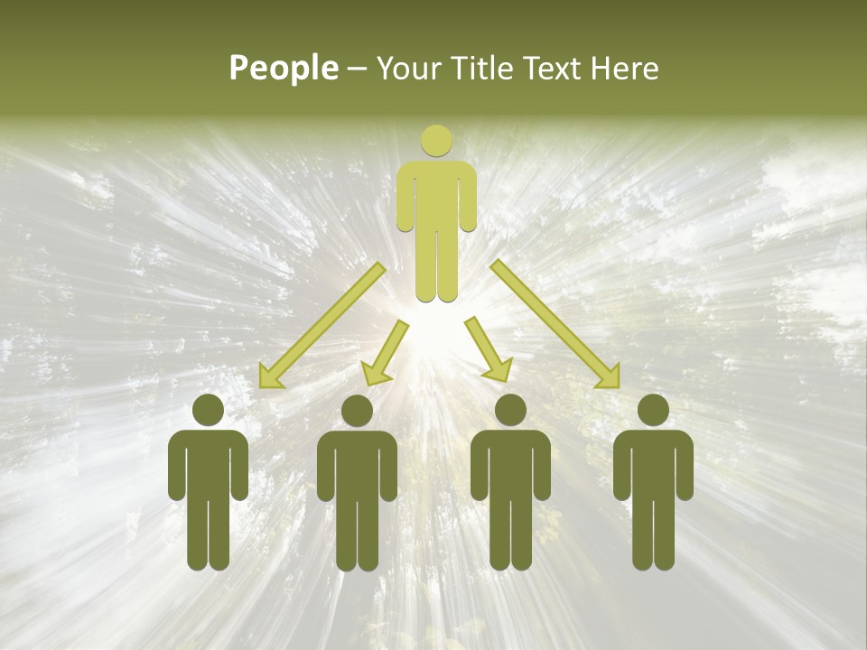 A Sun Burst In The Middle Of A Forest PowerPoint Template