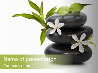 A Pile Of Black Rocks With White Flowers On Top PowerPoint Template