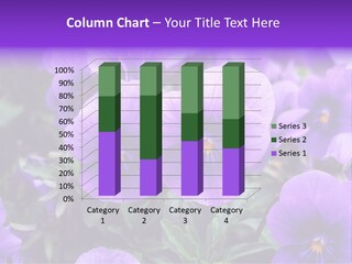 A Bunch Of Purple Flowers In A Field PowerPoint Template