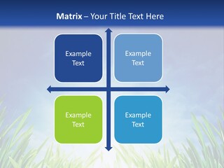A Blue Sky And Green Grass Powerpoint Template PowerPoint Template