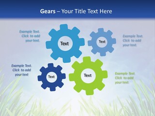 A Blue Sky And Green Grass Powerpoint Template PowerPoint Template