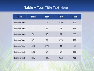 A Blue Sky And Green Grass Powerpoint Template PowerPoint Template