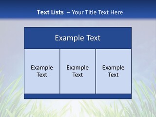 A Blue Sky And Green Grass Powerpoint Template PowerPoint Template