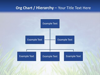 A Blue Sky And Green Grass Powerpoint Template PowerPoint Template