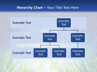 A Blue Sky And Green Grass Powerpoint Template PowerPoint Template