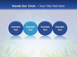 A Blue Sky And Green Grass Powerpoint Template PowerPoint Template