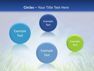 A Blue Sky And Green Grass Powerpoint Template PowerPoint Template