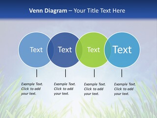 A Blue Sky And Green Grass Powerpoint Template PowerPoint Template