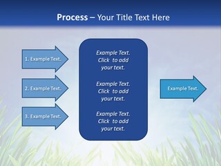 A Blue Sky And Green Grass Powerpoint Template PowerPoint Template