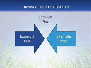 A Blue Sky And Green Grass Powerpoint Template PowerPoint Template
