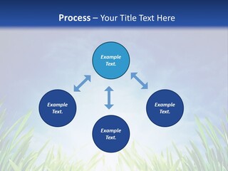 A Blue Sky And Green Grass Powerpoint Template PowerPoint Template