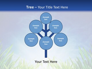 A Blue Sky And Green Grass Powerpoint Template PowerPoint Template