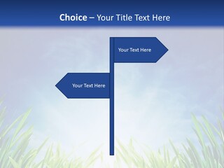 A Blue Sky And Green Grass Powerpoint Template PowerPoint Template
