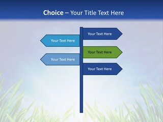 A Blue Sky And Green Grass Powerpoint Template PowerPoint Template