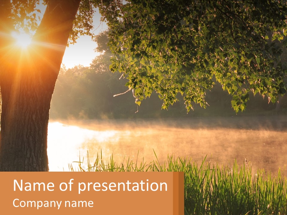 The Sun Shines Through The Trees Over The Water PowerPoint Template