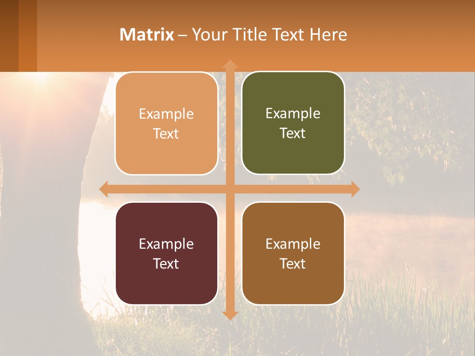 The Sun Shines Through The Trees Over The Water PowerPoint Template