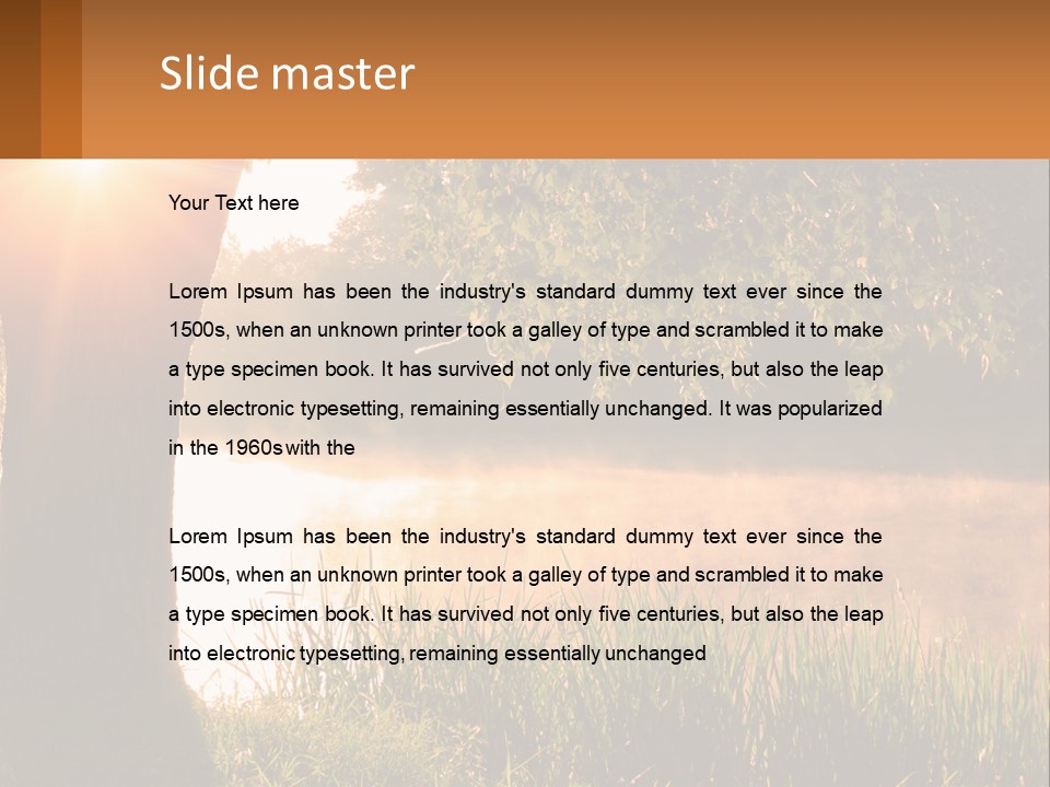 The Sun Shines Through The Trees Over The Water PowerPoint Template