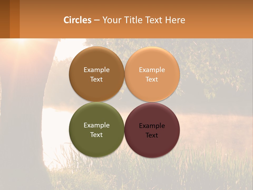 The Sun Shines Through The Trees Over The Water PowerPoint Template