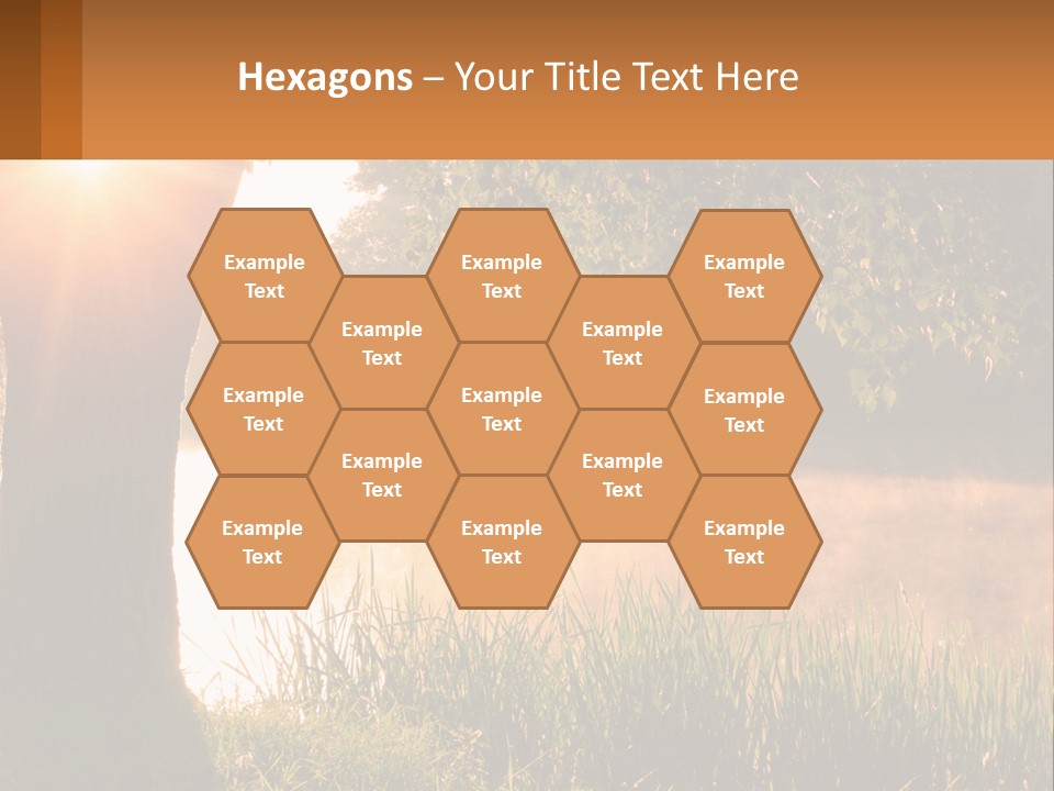 The Sun Shines Through The Trees Over The Water PowerPoint Template