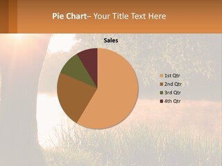 The Sun Shines Through The Trees Over The Water PowerPoint Template