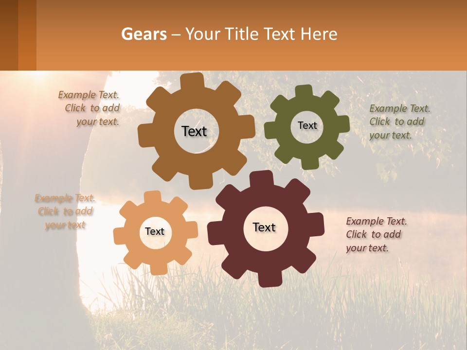 The Sun Shines Through The Trees Over The Water PowerPoint Template