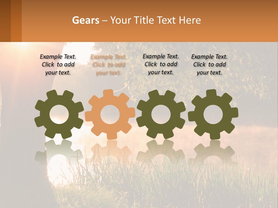 The Sun Shines Through The Trees Over The Water PowerPoint Template