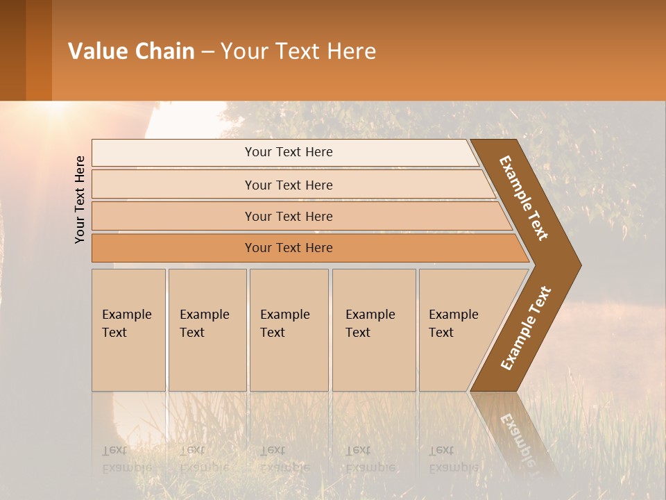The Sun Shines Through The Trees Over The Water PowerPoint Template