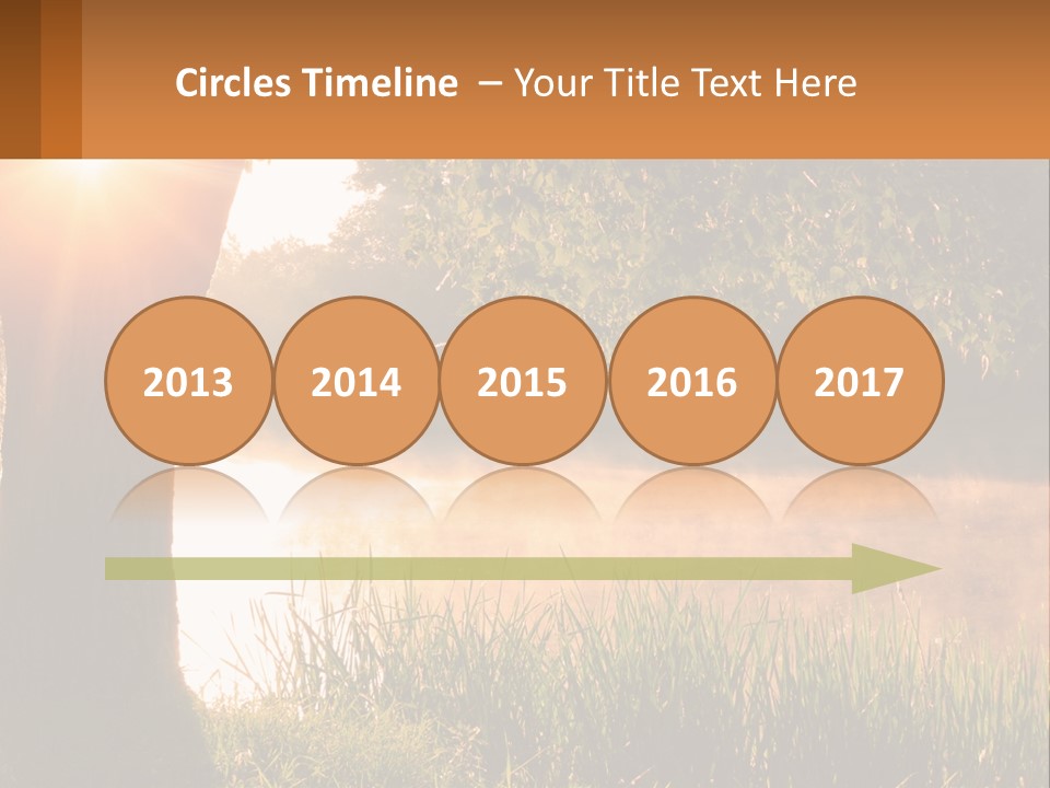 The Sun Shines Through The Trees Over The Water PowerPoint Template