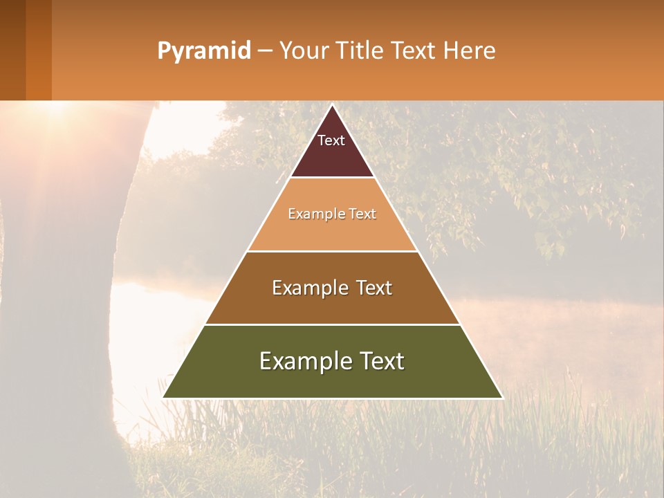 The Sun Shines Through The Trees Over The Water PowerPoint Template