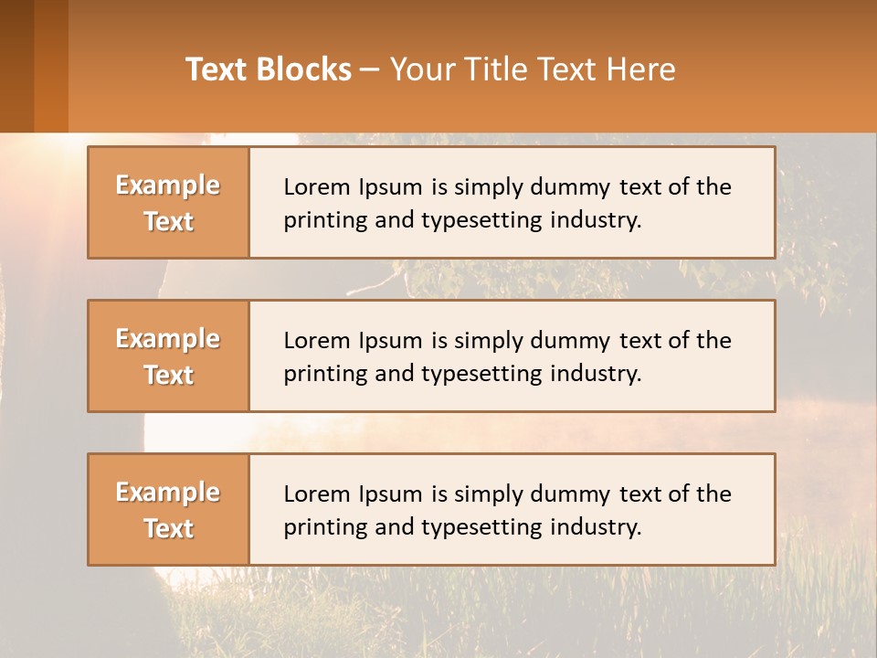 The Sun Shines Through The Trees Over The Water PowerPoint Template
