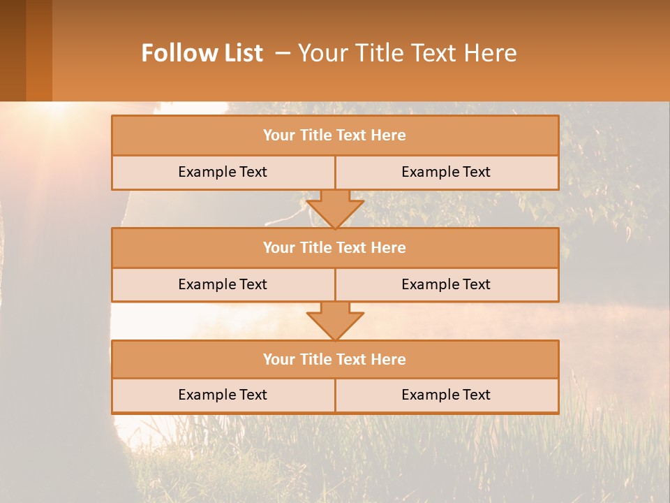 The Sun Shines Through The Trees Over The Water PowerPoint Template