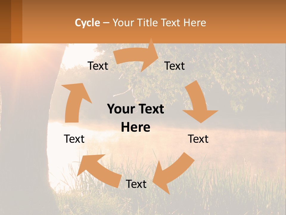 The Sun Shines Through The Trees Over The Water PowerPoint Template