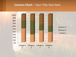 The Sun Shines Through The Trees Over The Water PowerPoint Template