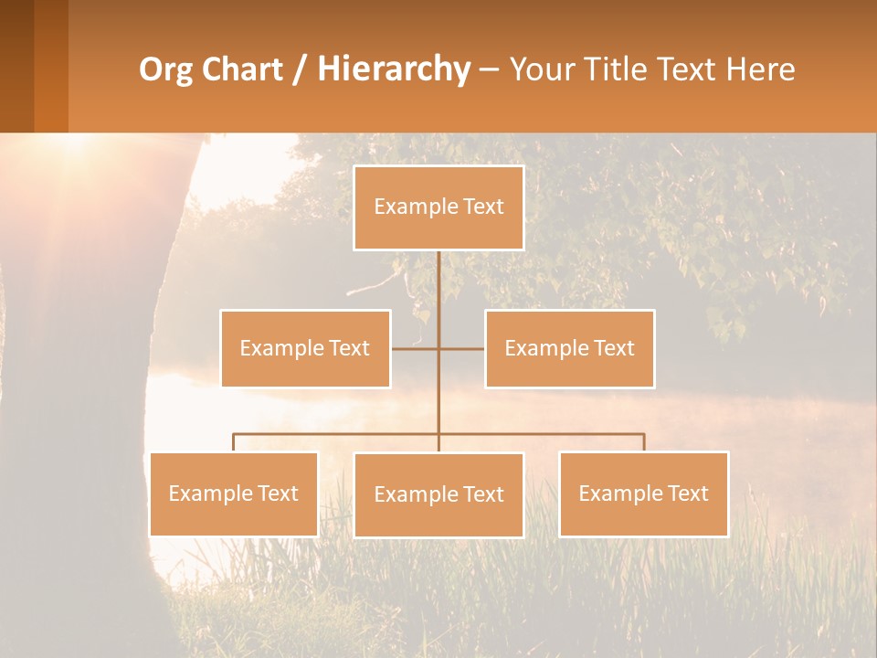 The Sun Shines Through The Trees Over The Water PowerPoint Template