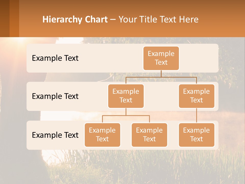 The Sun Shines Through The Trees Over The Water PowerPoint Template