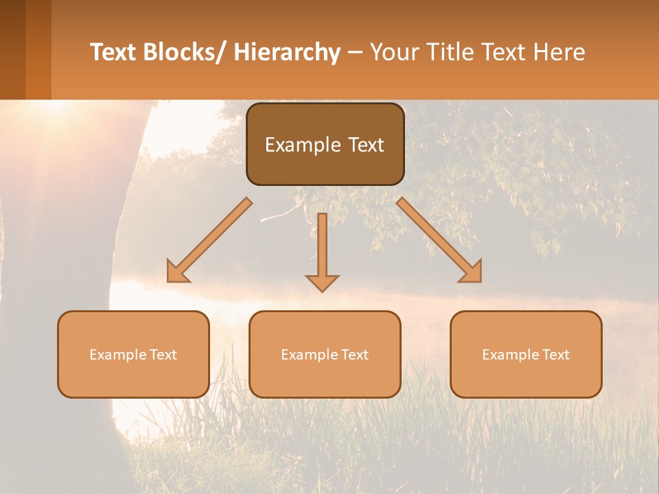 The Sun Shines Through The Trees Over The Water PowerPoint Template