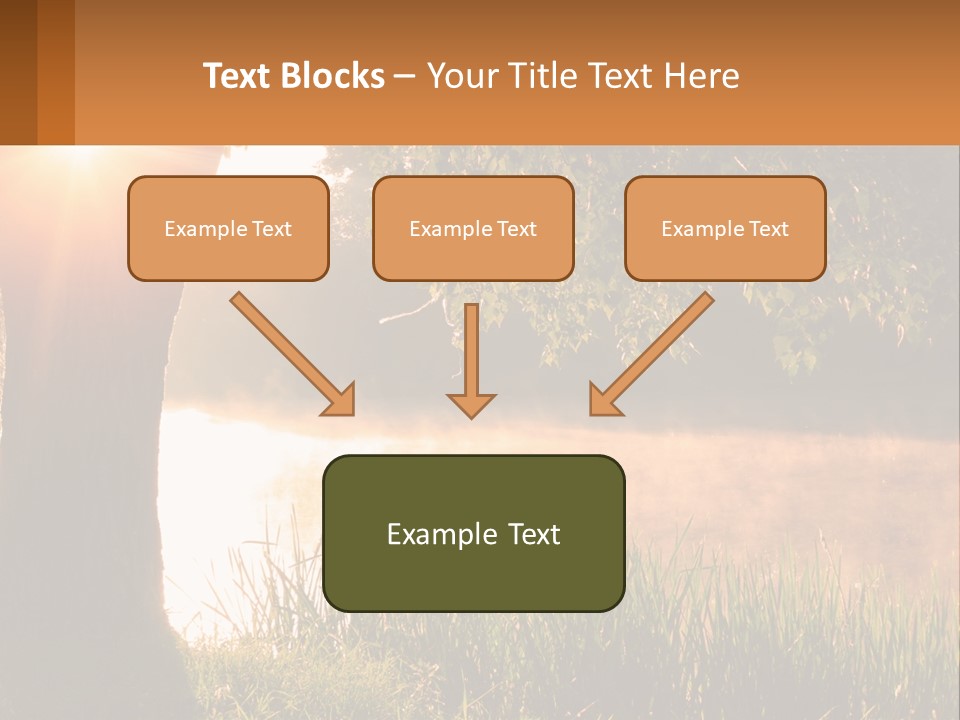 The Sun Shines Through The Trees Over The Water PowerPoint Template