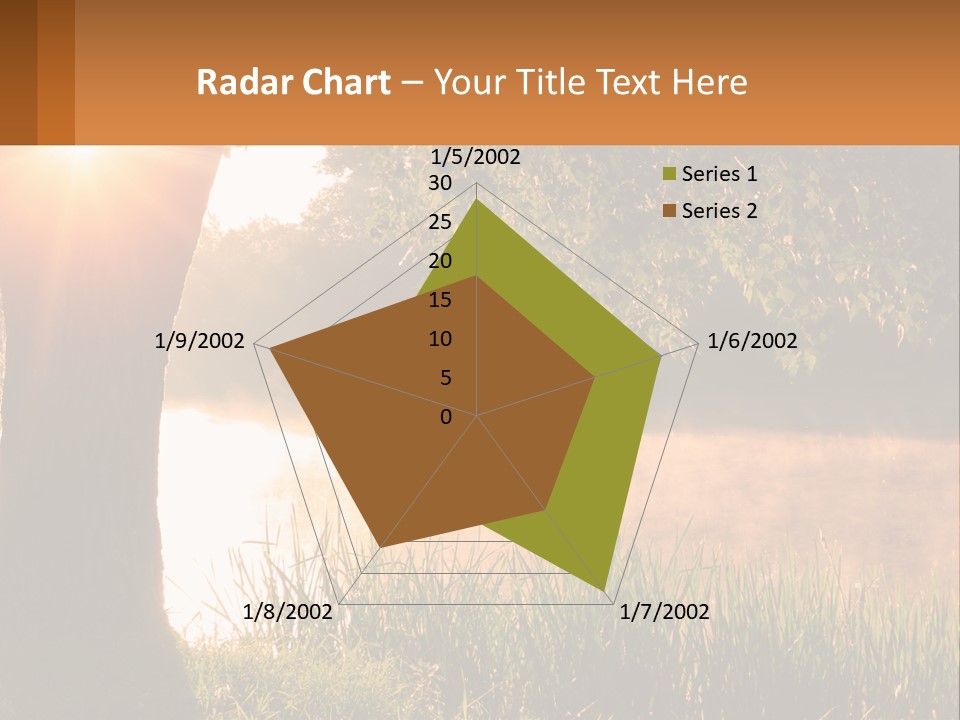 The Sun Shines Through The Trees Over The Water PowerPoint Template