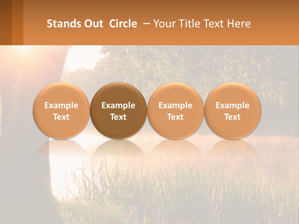 The Sun Shines Through The Trees Over The Water PowerPoint Template
