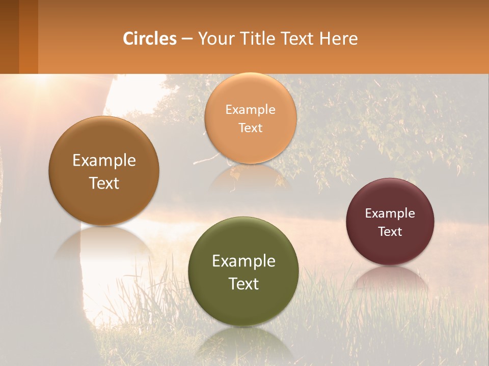 The Sun Shines Through The Trees Over The Water PowerPoint Template