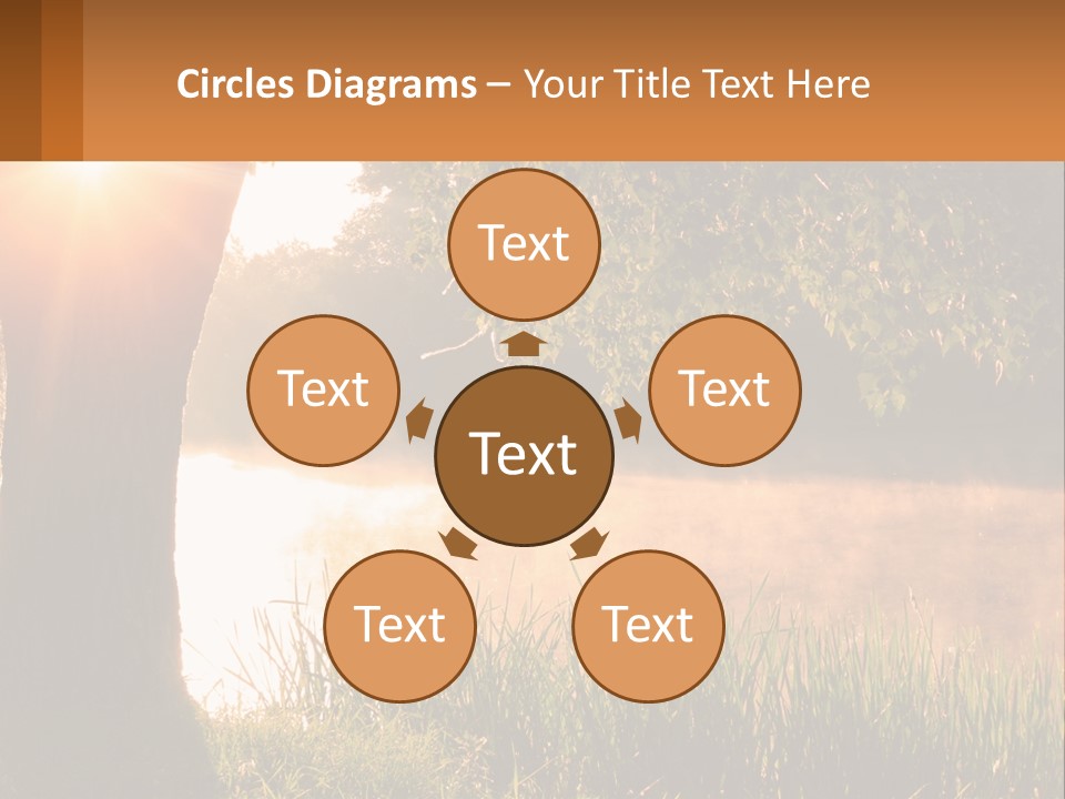 The Sun Shines Through The Trees Over The Water PowerPoint Template