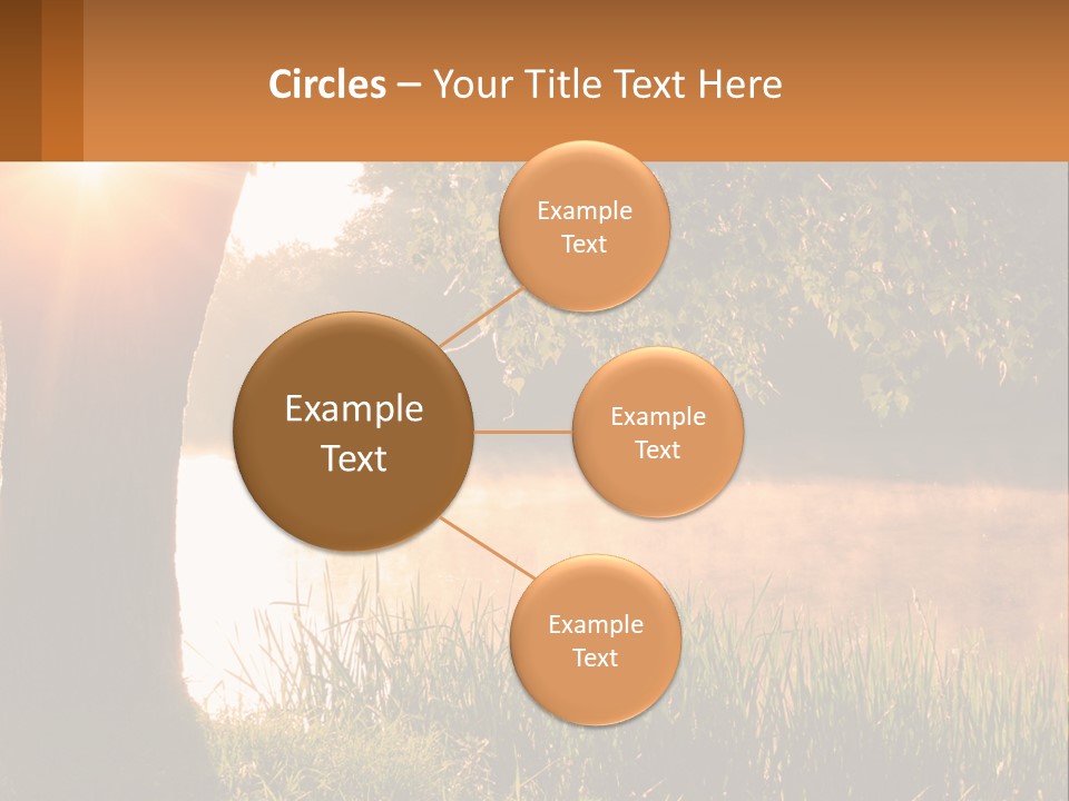 The Sun Shines Through The Trees Over The Water PowerPoint Template