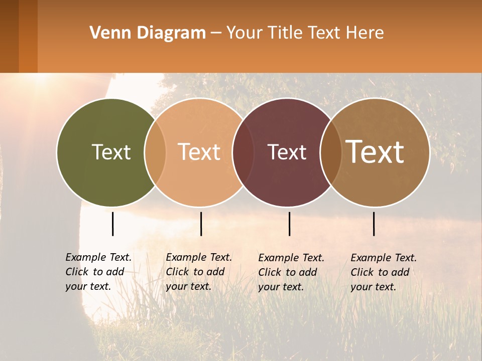 The Sun Shines Through The Trees Over The Water PowerPoint Template