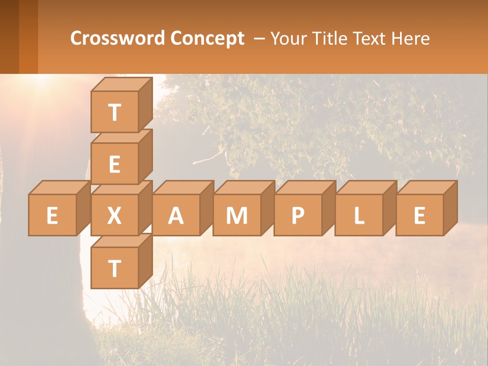 The Sun Shines Through The Trees Over The Water PowerPoint Template